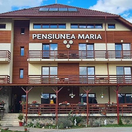 Pensiunea Maria Gilău エクステリア 写真