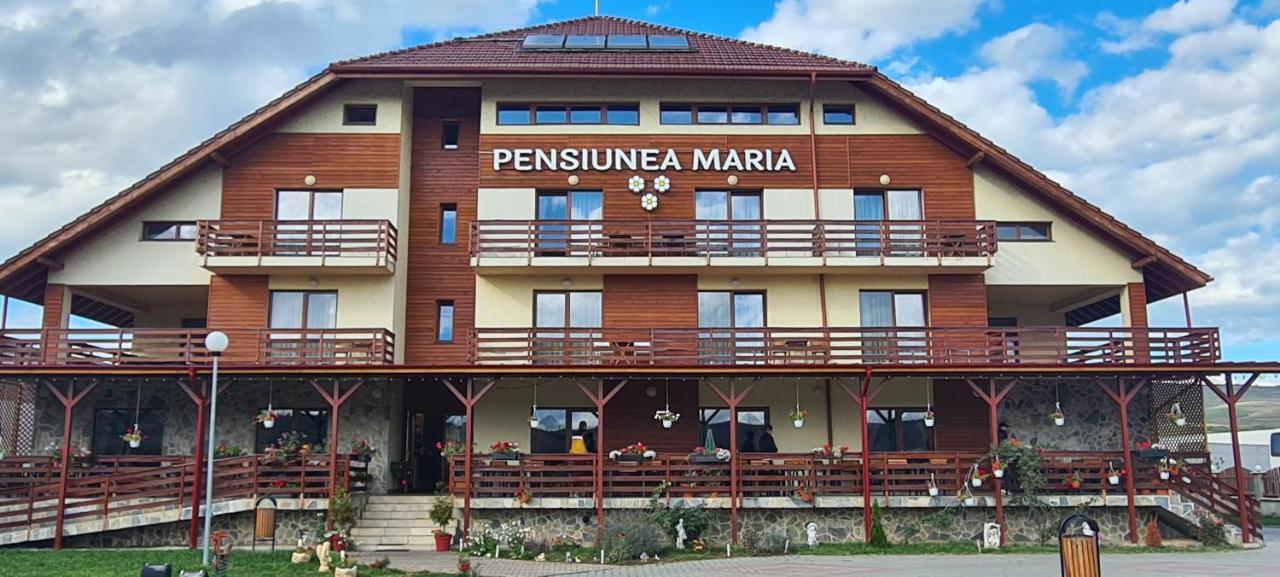 Pensiunea Maria Gilău エクステリア 写真